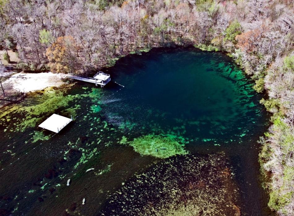 Wakulla spring